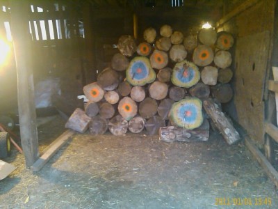 IMAG0298.jpg