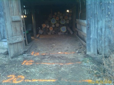 IMAG0299.jpg