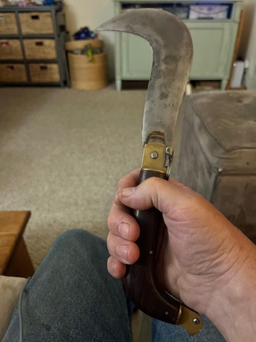 IMG_9529.jpeg