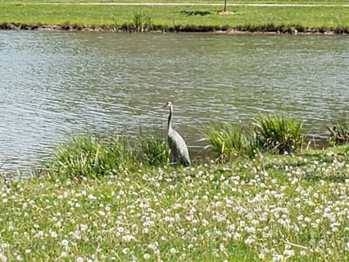 20260526_131447.jpg