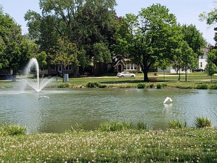 20260526_131518.jpg