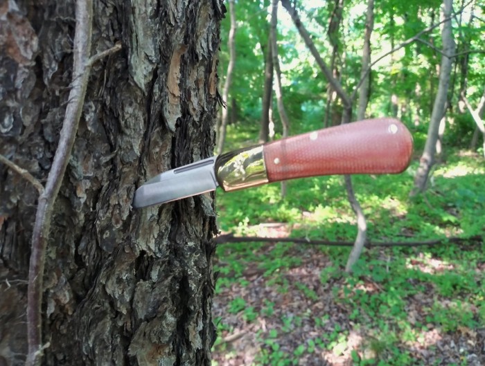 Browning on the trail.jpg