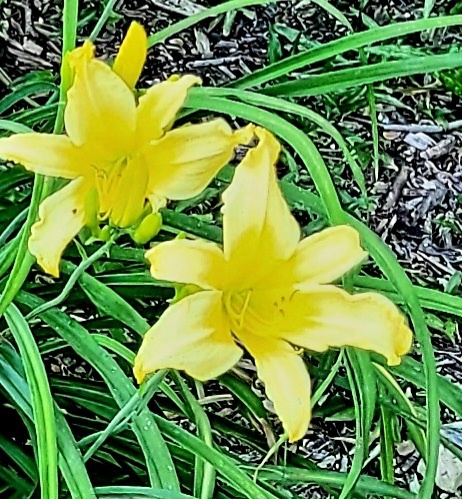 20260604_183401.jpeg