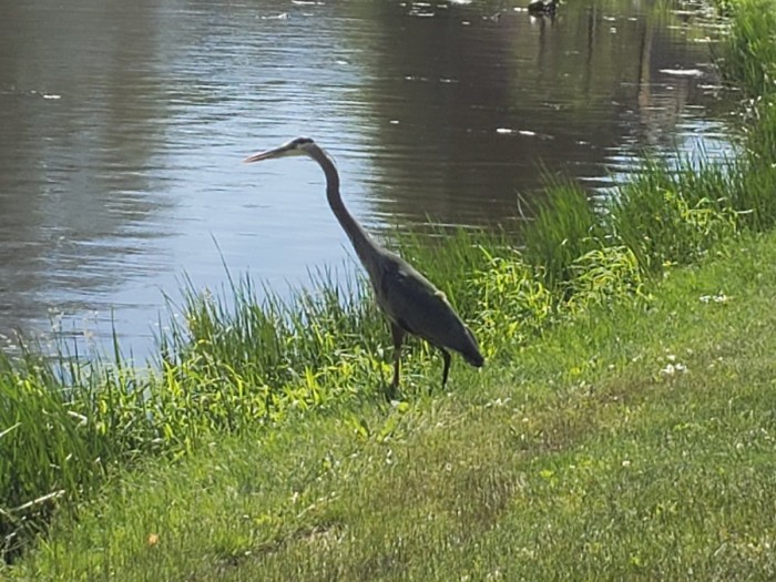 20260612_103652.jpg