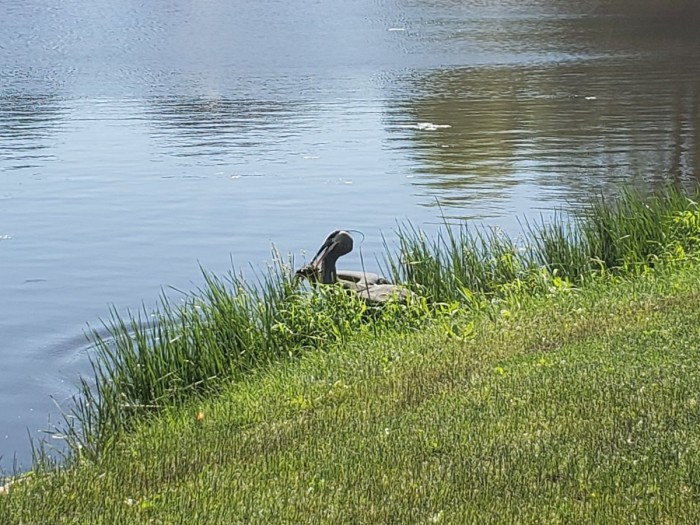 20260612_103738.jpg