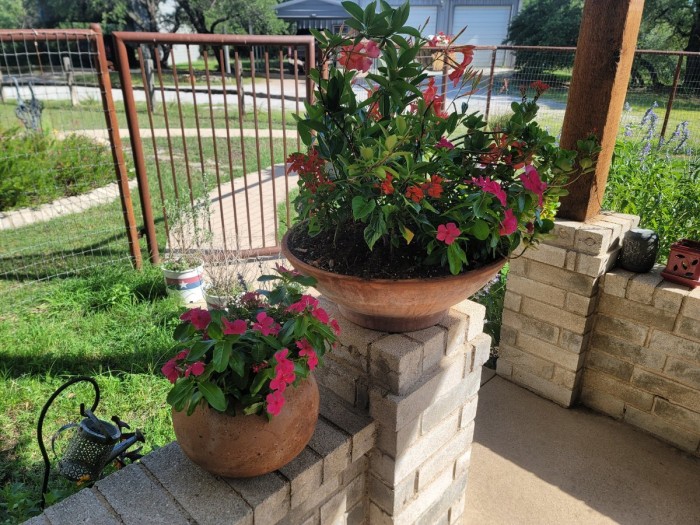 More flowers