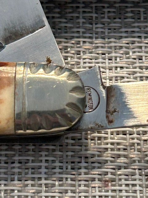 image5.jpeg