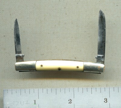Electric Ivory4.jpg
