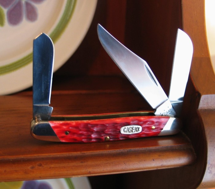 Case 6347.JPG