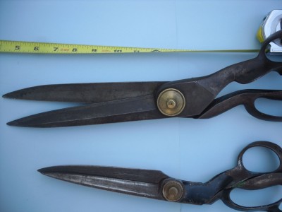 SDC10810.jpg