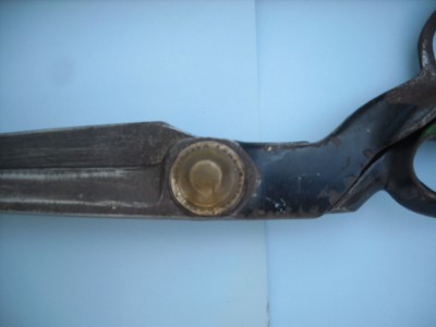 SDC10808.jpg