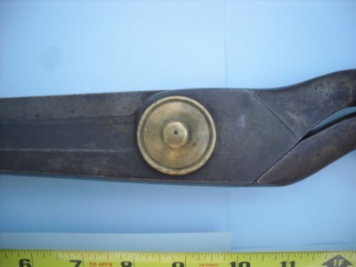 SDC10809.jpg