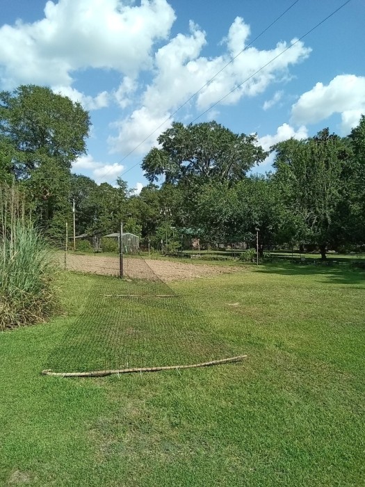 Gate/gap moved to allow tractor access. The plastic fencing is attached to posts with  zip ties/tie wraps and the "gates" are held in place with small bungee cords.