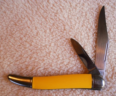 Yellow Imperial shell 002.JPG