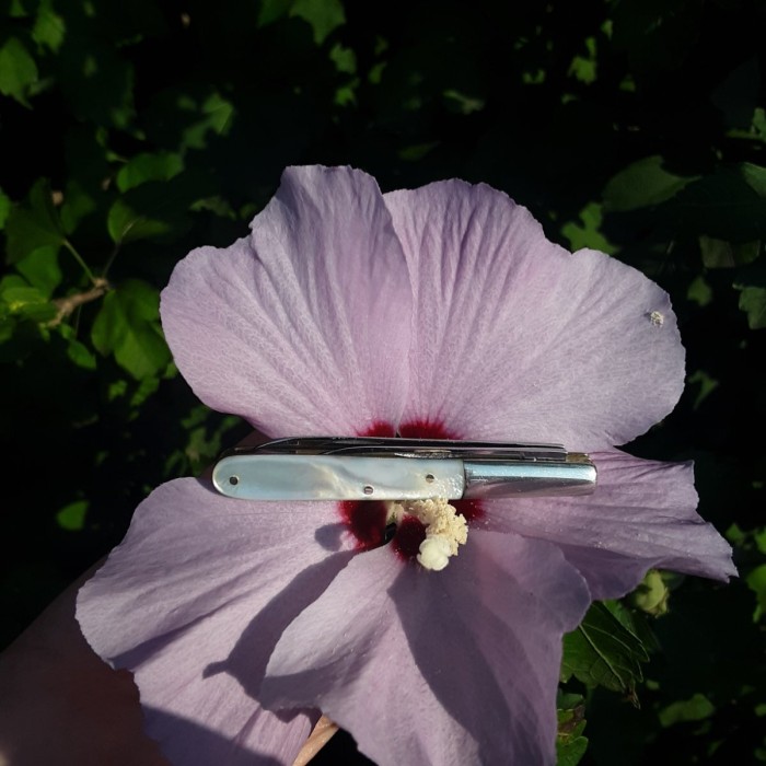 20260805_165624.jpg