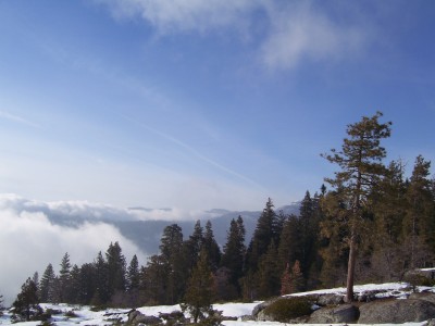 100_3634.JPG