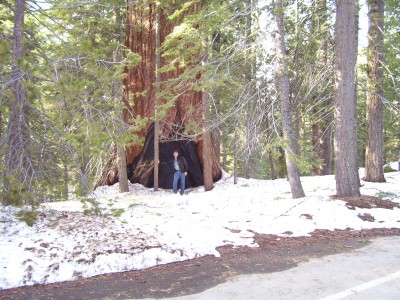 100_3627.JPG