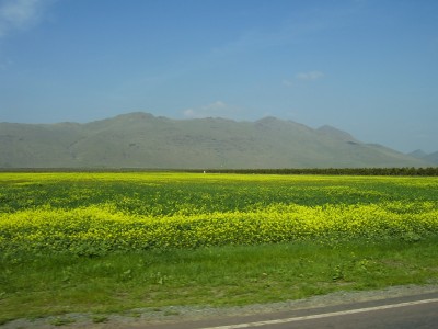 100_3525.JPG