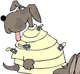 GSPcrazy-dog-260nw-47369854.jpg