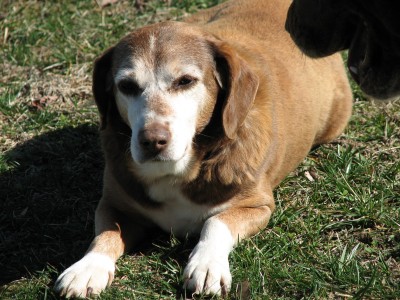 Miss Pepper