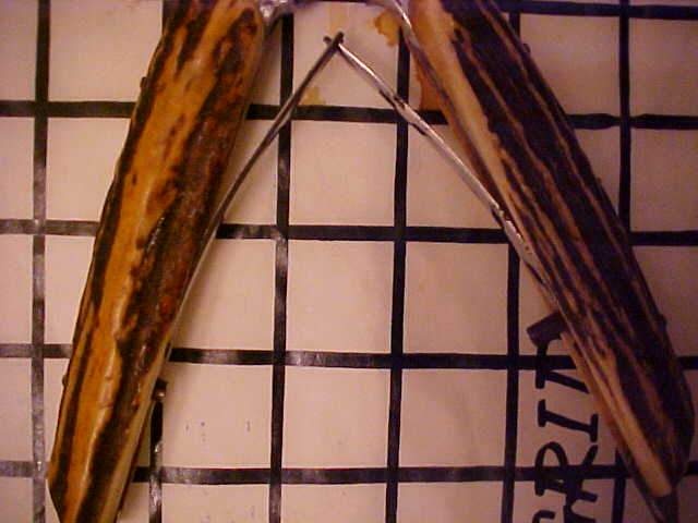 EloiShearsDetai1.JPG