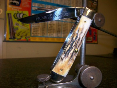 Prime Stag 002.jpg