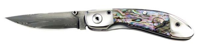 Queen Ranger Abalone.jpg