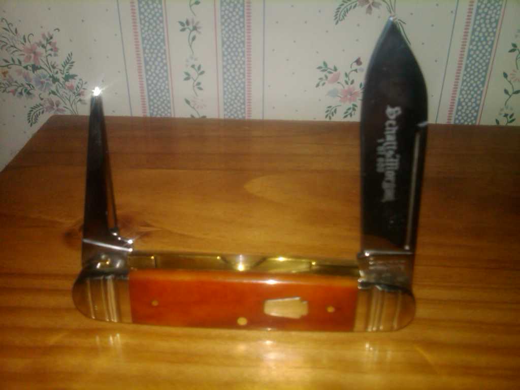 IMG00064-20110523-1733.jpg