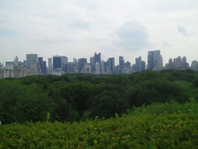 From Met Roof.JPG