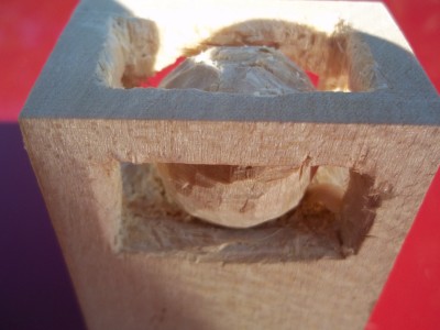Copy of 100_0218.JPG