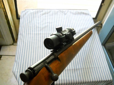 Savage with BSA dot sight.JPG