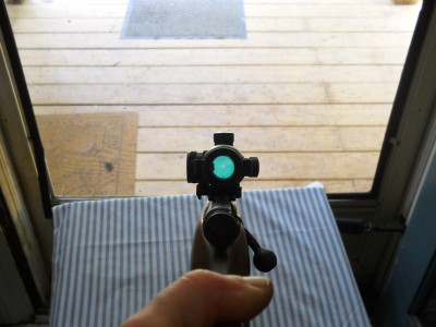 Savage with dot sight.JPG