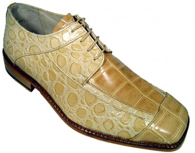 ALLIGATOR SHOE.jpg