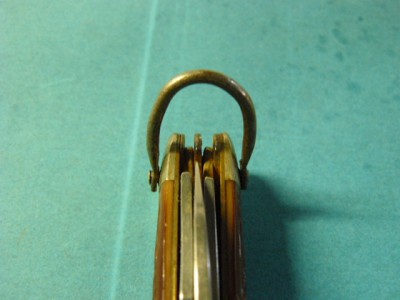 P1000778.JPG