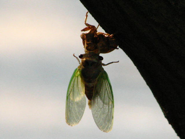 077.JPG