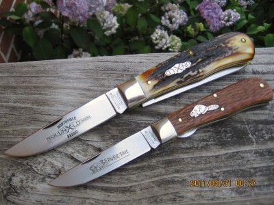2006 Stag & BeaverTail.JPG