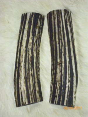 Stag scales #001.jpg