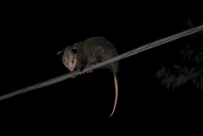 DSC_1708.jpg