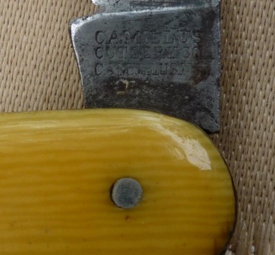 CAMILLUS 005.JPG