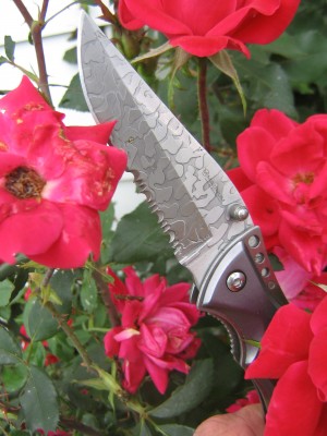 9.6.11lotknives 029.JPG