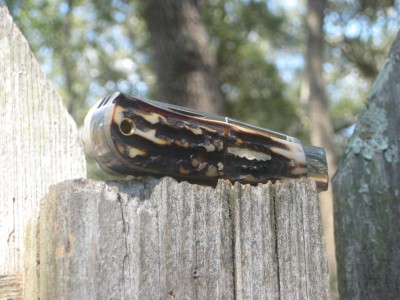 stag gec#1.jpg