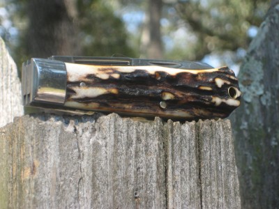 stag gecback side #1.jpg