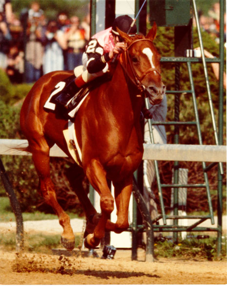AFFIRMED.jpg