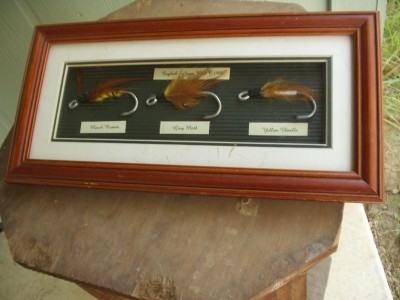 trout 006.JPG