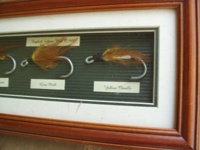 trout 008.JPG