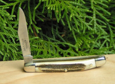108 single stag c.jpg