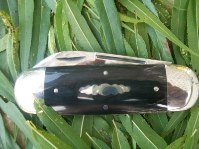 buffalo toe 013.JPG