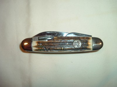 Stag Scout 027.JPG