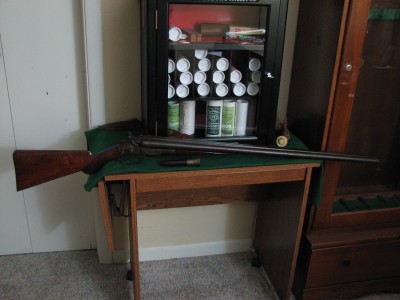 Shotguns 002.JPG