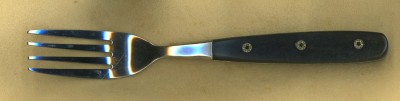 My Fork.jpg